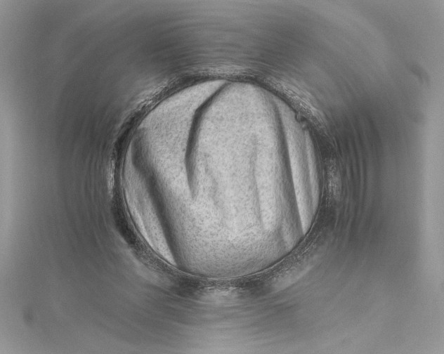 X0000115020206200911161453