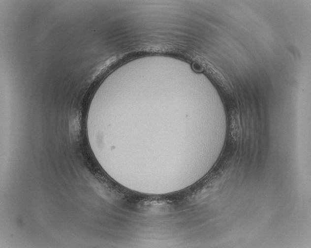 X0000115020208200911161453