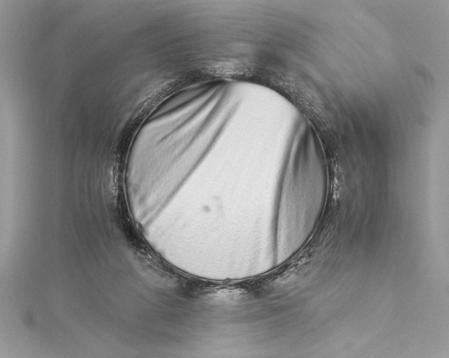 X0000115020210200911161453