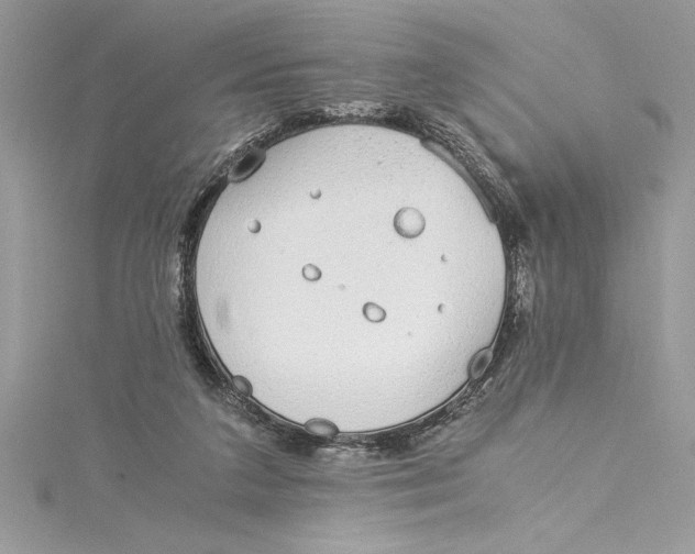 X0000115020211200911161453