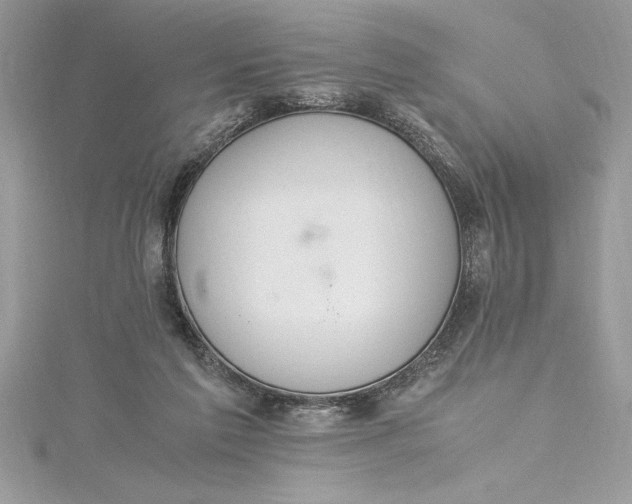 X0000115020213200911161453