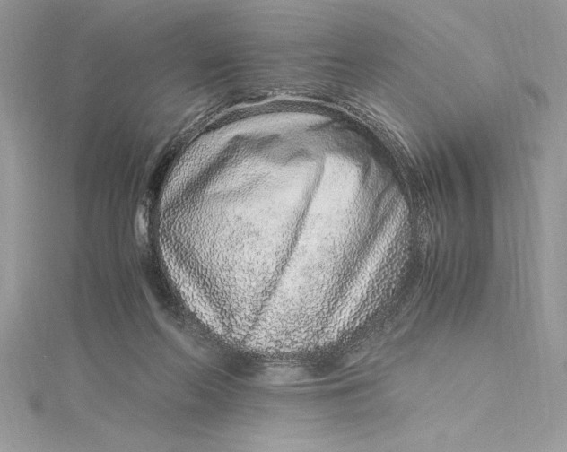 X0000115020214200911161453