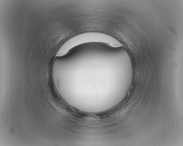 X0000115020215200911161453