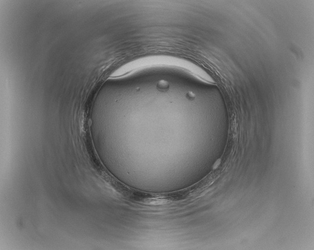 X0000115020219200911161453