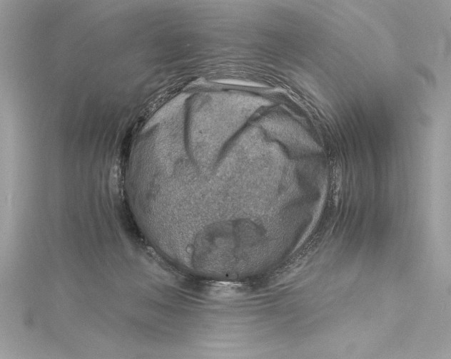 X0000115020222200911161453