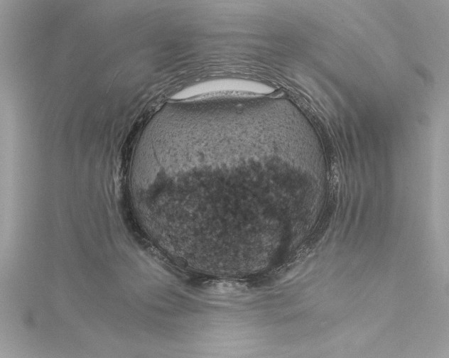 X0000115020223200911161453