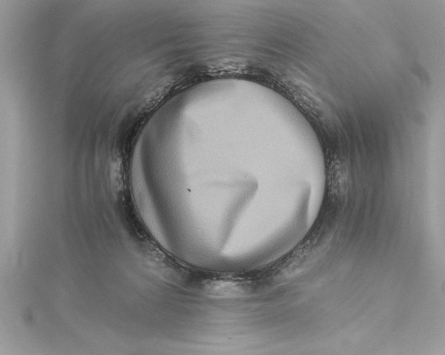 X0000115020224200911161453