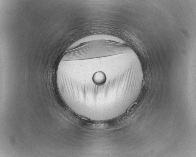 X0000115020225200911161453