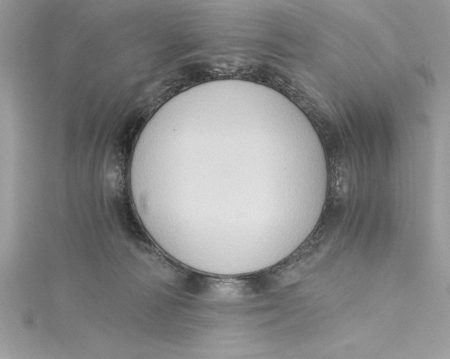 X0000115020226200911161453