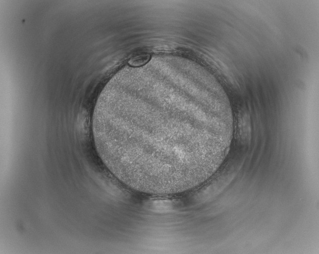 X0000115020228200911161453