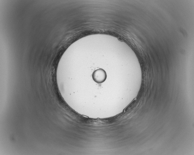 X0000115020229200911161453