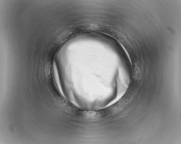 X0000115020230200911161453