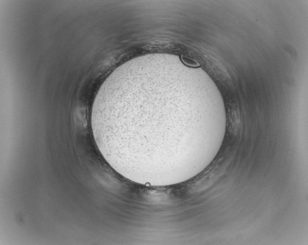 X0000115020232200911161453