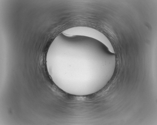 X0000115020233200911161453