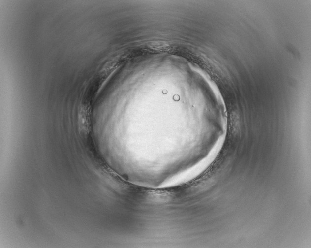 X0000115020234200911161453