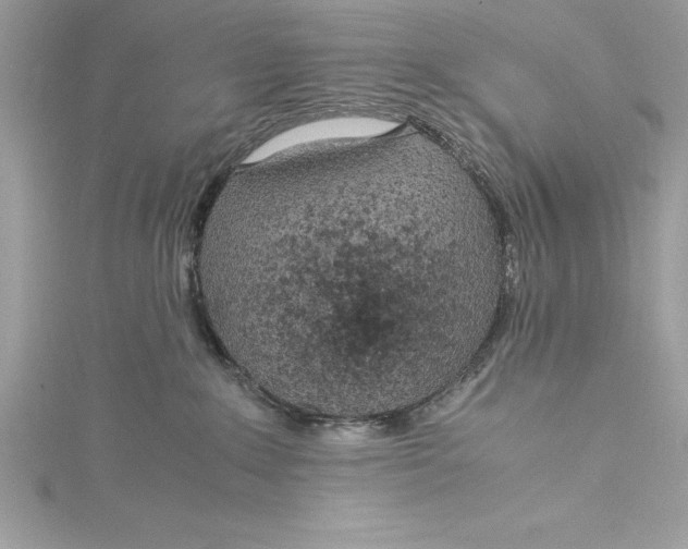 X0000115020235200911161453