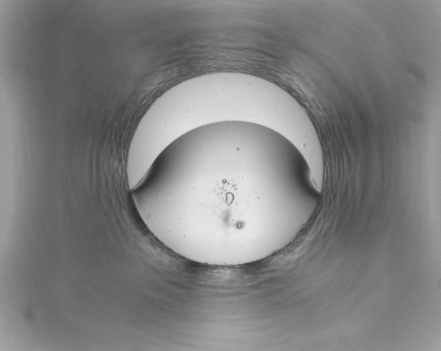 X0000115020237200911161453