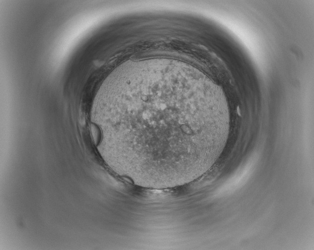 X0000115020239200911161452