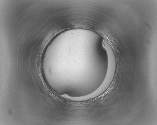 X0000115020241200911161452