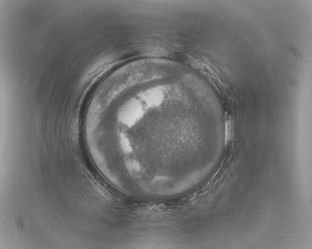 X0000115020243200911161452