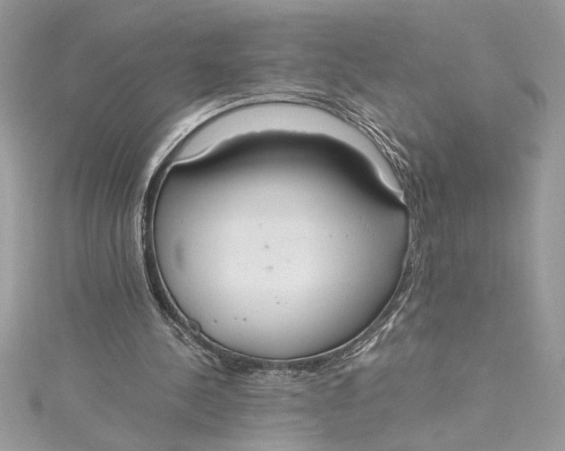 X0000115020244200911161452