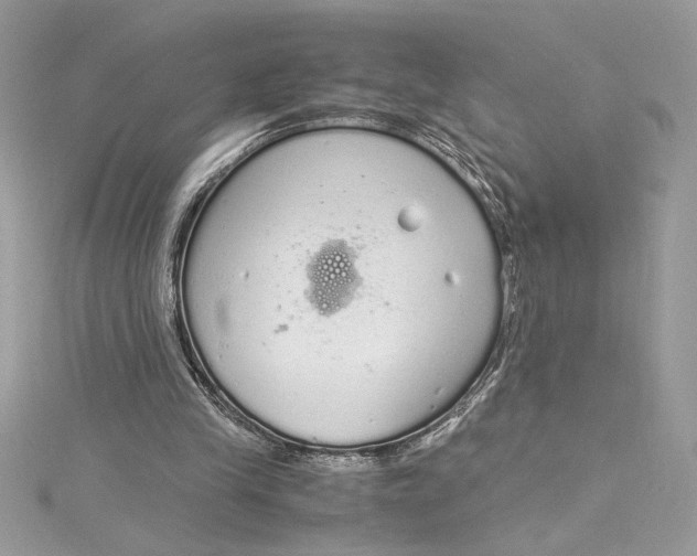 X0000115020245200911161452