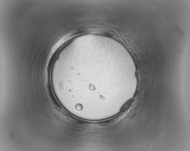 X0000115020246200911161452