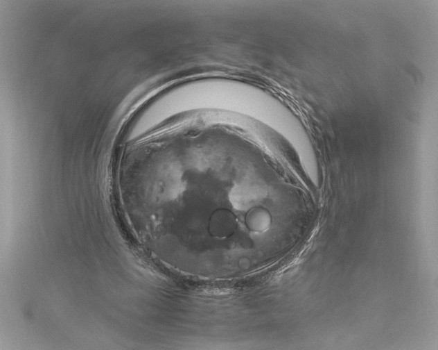 X0000115020247200911161452