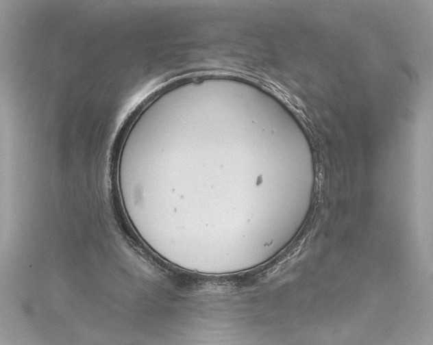 X0000115020248200911161452