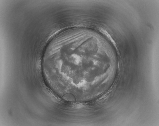 X0000115020249200911161452