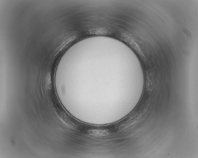 X0000115020251200911161452