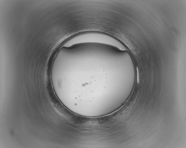 X0000115020252200911161452