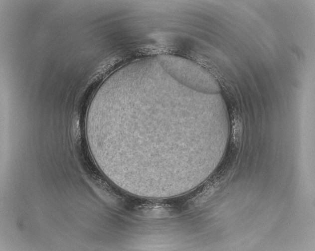 X0000115020254200911161452