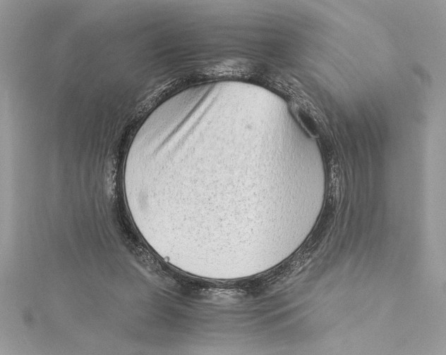 X0000115020255200911161452