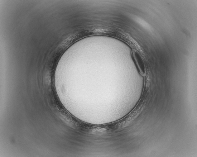 X0000115020257200911161452