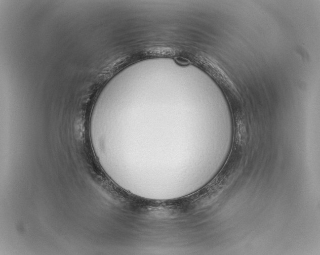 X0000115020259200911161452