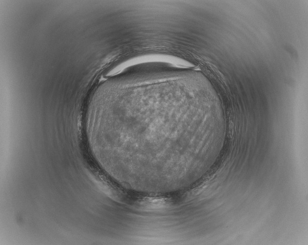 X0000115020260200911161452