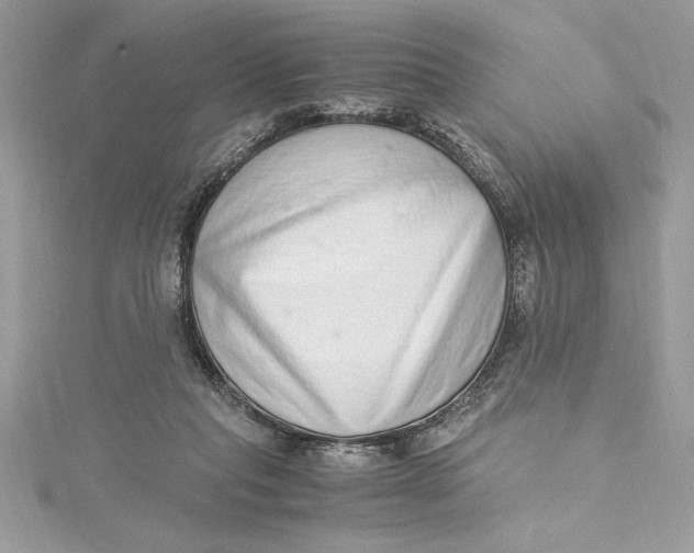 X0000115020261200911161452