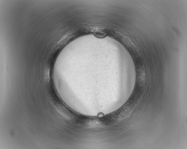 X0000115020262200911161452