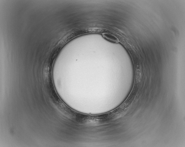 X0000115020263200911161452