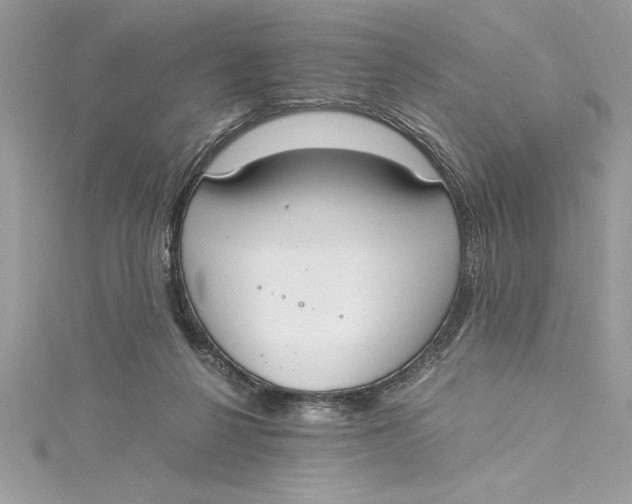 X0000115020264200911161452