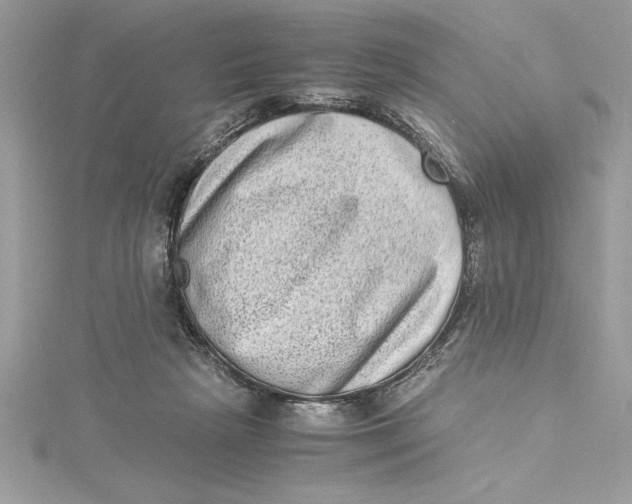 X0000115020265200911161452