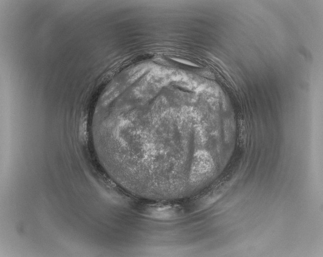 X0000115020267200911161452