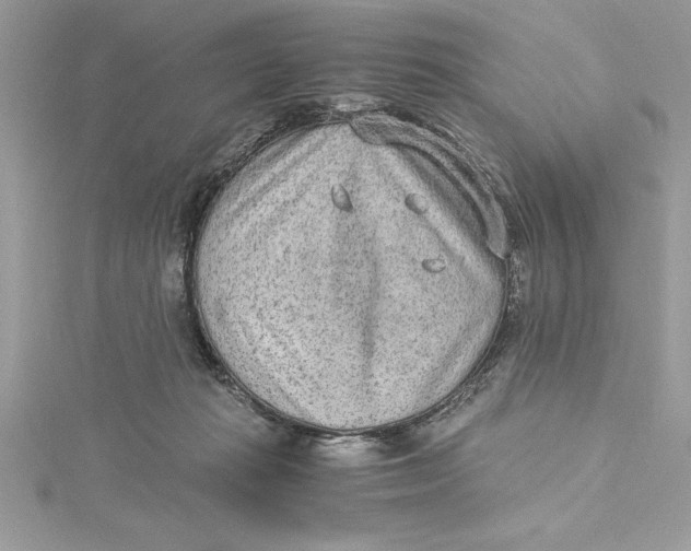 X0000115020269200911161452