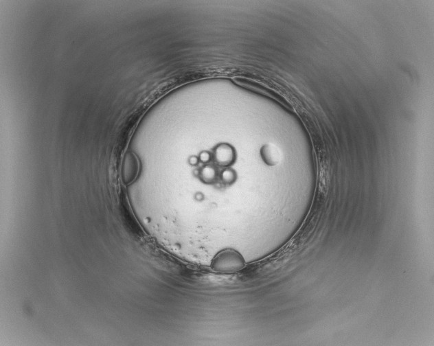 X0000115020270200911161452