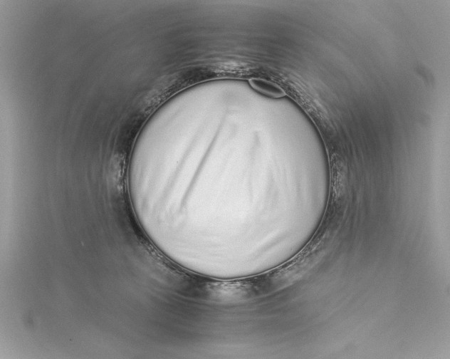 X0000115020273200911161452