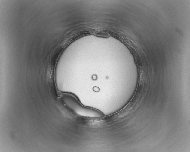 X0000115020274200911161452