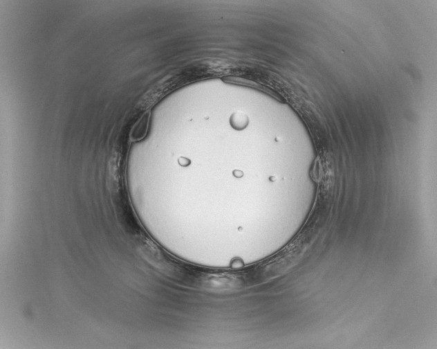 X0000115020275200911161452