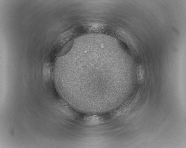 X0000115020276200911161452