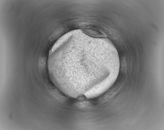 X0000115020278200911161452